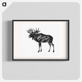アートポスター-Scandinavian Elk
 - 大英図書館 Poster.