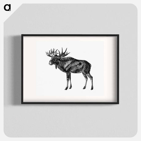 アートポスター-Scandinavian Elk
 - 大英図書館 Poster.