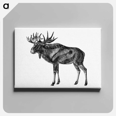 アートパネル-Scandinavian Elk
 - 大英図書館 Canvas.