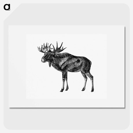 アートポスター-Scandinavian Elk
 - 大英図書館 Poster.