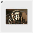2-7_COVID-19_postcard