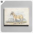 2-7_Charles-Hamilton-Smith_canvas