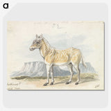 2-7_Charles-Hamilton-Smith_picture-crop
