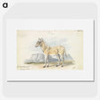2-7_Charles-Hamilton-Smith_picture