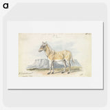 2-7_Charles-Hamilton-Smith_picture
