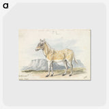 2-7_Charles-Hamilton-Smith_postcard