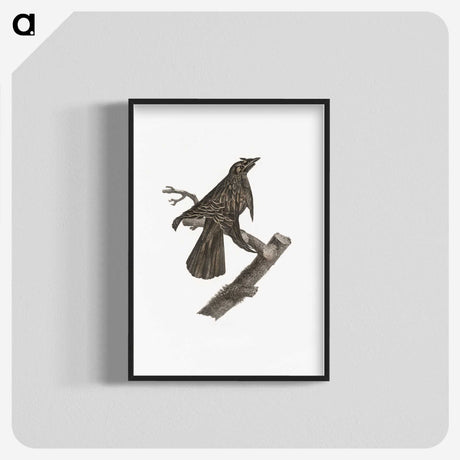 2-7_Des-Oiseaux-de-Paradis_blk-crop