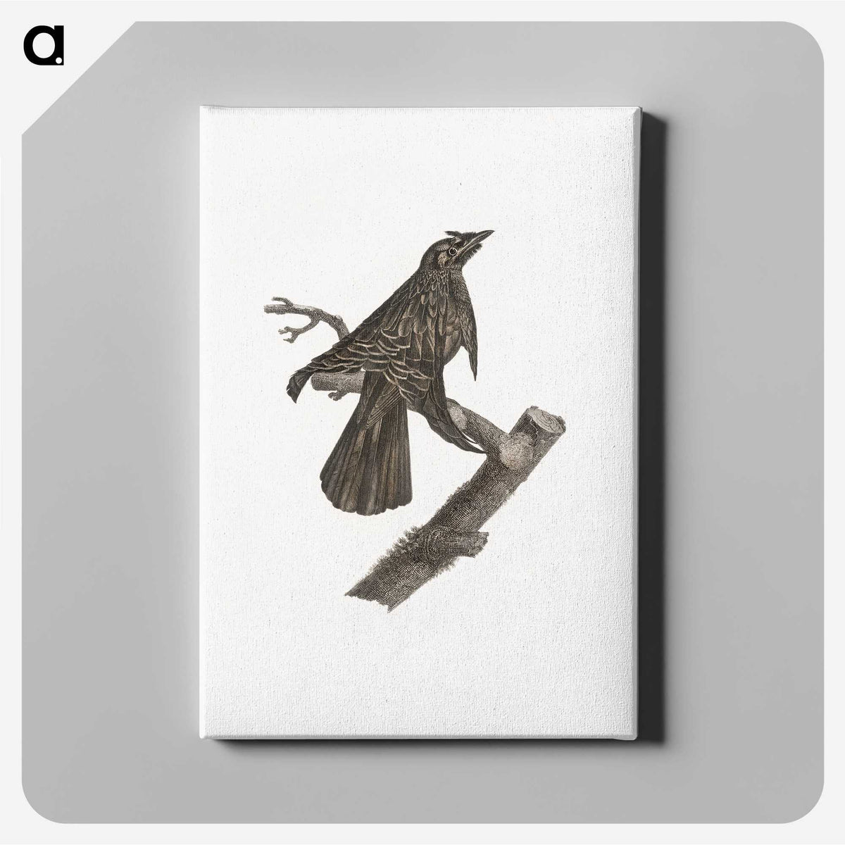 2-7_Des-Oiseaux-de-Paradis_canvas