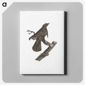 2-7_Des-Oiseaux-de-Paradis_canvas