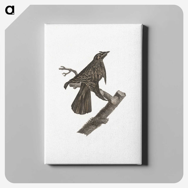2-7_Des-Oiseaux-de-Paradis_canvas