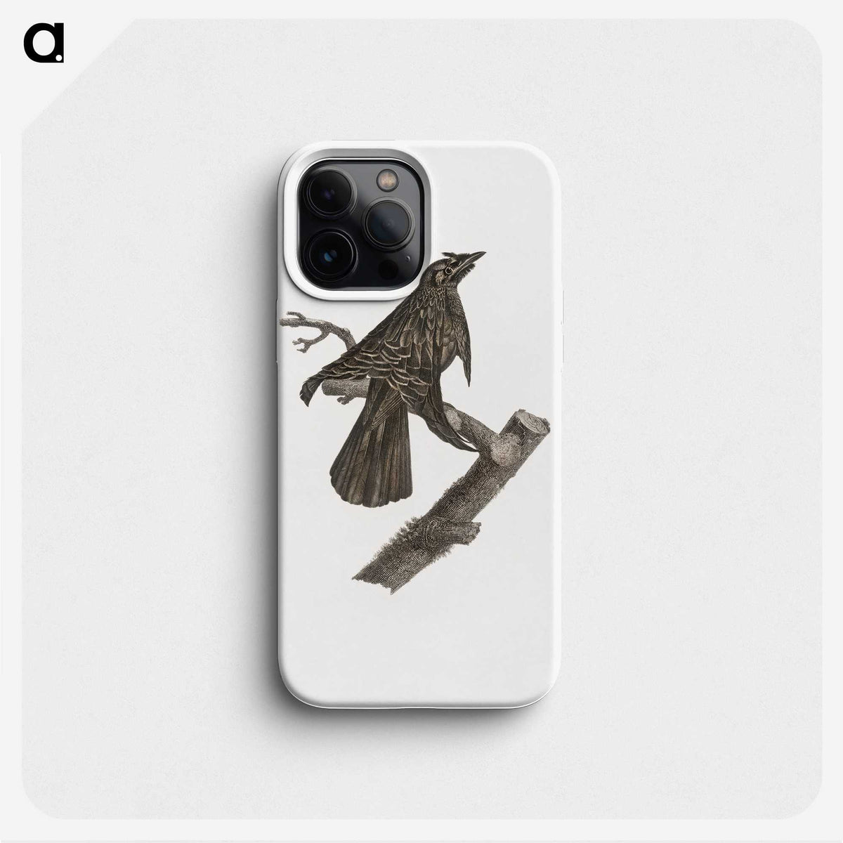 2-7_Des-Oiseaux-de-Paradis_phone