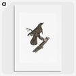 2-7_Des-Oiseaux-de-Paradis_picture