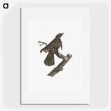 2-7_Des-Oiseaux-de-Paradis_picture