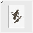 2-7_Des-Oiseaux-de-Paradis_postcard