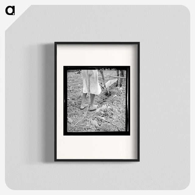 2-7_Dorothea-Lange_blk