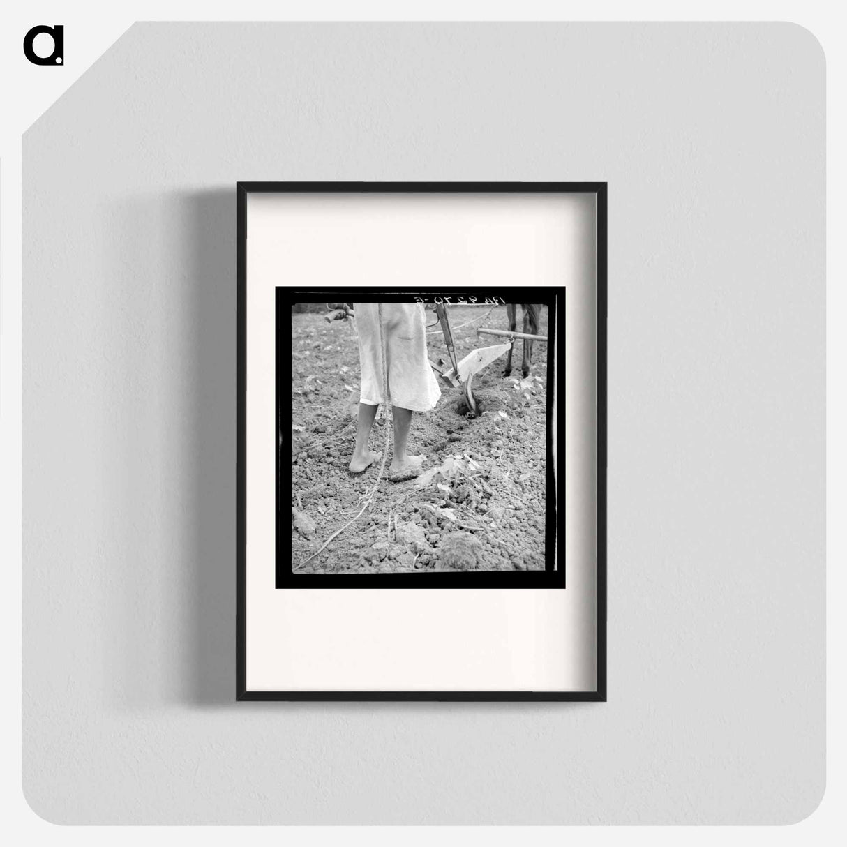 Alabama plow girl - Dorothea Lange Poster.