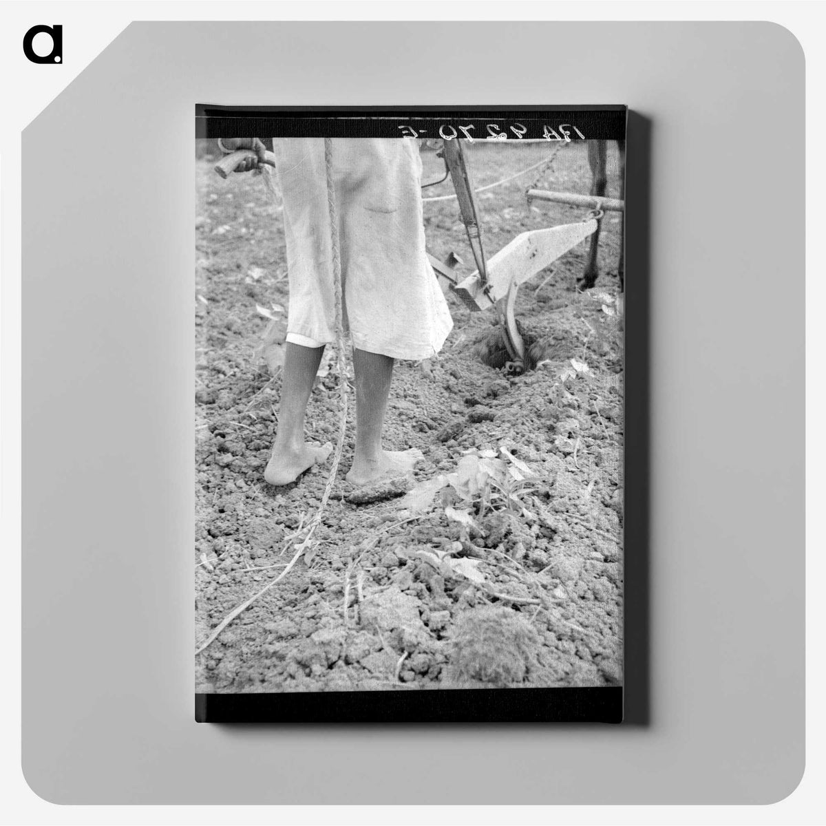 2-7_Dorothea-Lange_canvas