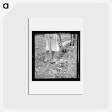 2-7_Dorothea-Lange_hagaki