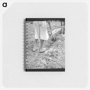 アートメモ帳-Alabama plow girl - ドロテア ラング Memo.