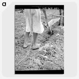 2-7_Dorothea-Lange_picture-crop
