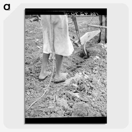2-7_Dorothea-Lange_picture-crop