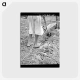 2-7_Dorothea-Lange_postcard