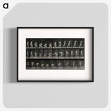 2-7_Eadweard-Muybridge_blk