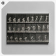 2-7_Eadweard-Muybridge_canvas