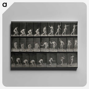 2-7_Eadweard-Muybridge_canvas