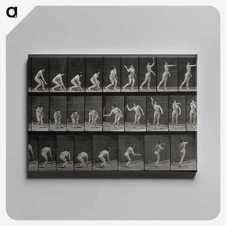 2-7_Eadweard-Muybridge_canvas