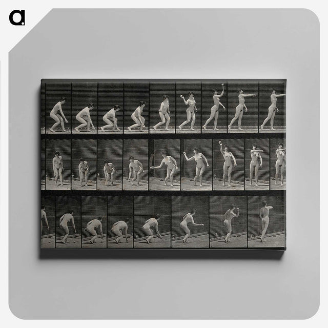 2-7_Eadweard-Muybridge_canvas