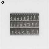 2-7_Eadweard-Muybridge_memo