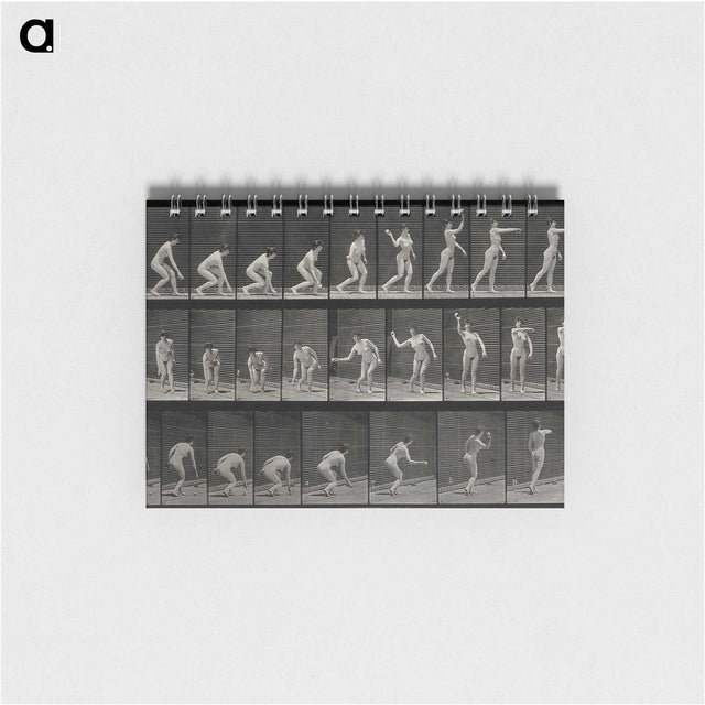 2-7_Eadweard-Muybridge_memo