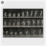 2-7_Eadweard-Muybridge_picture-crop