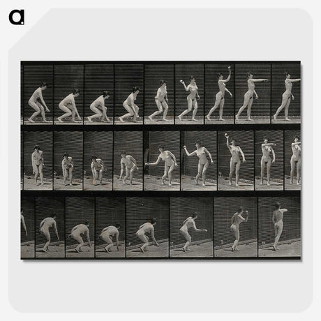 2-7_Eadweard-Muybridge_picture-crop
