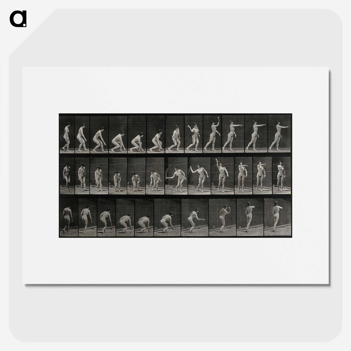 2-7_Eadweard-Muybridge_picture