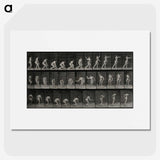 2-7_Eadweard-Muybridge_picture