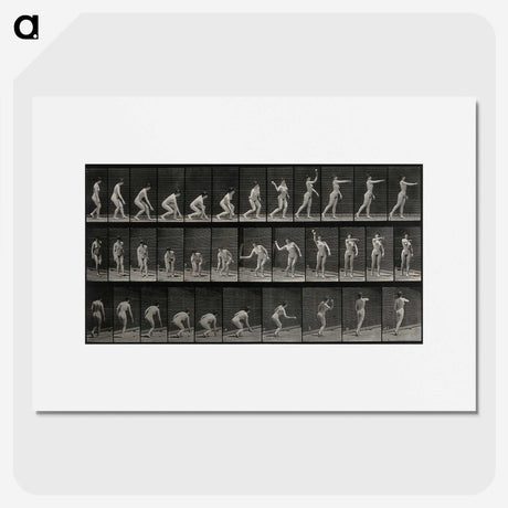 2-7_Eadweard-Muybridge_picture