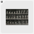 2-7_Eadweard-Muybridge_postcard
