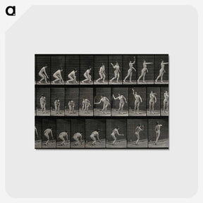 2-7_Eadweard-Muybridge_postcard