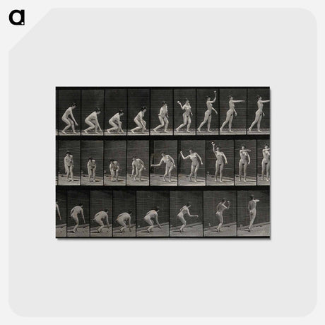 アートポストカード-Woman Throwing a Ball
 - エドワード マイブリッジ Postcard.