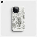 2-7_Ernst-Haeckel_phone