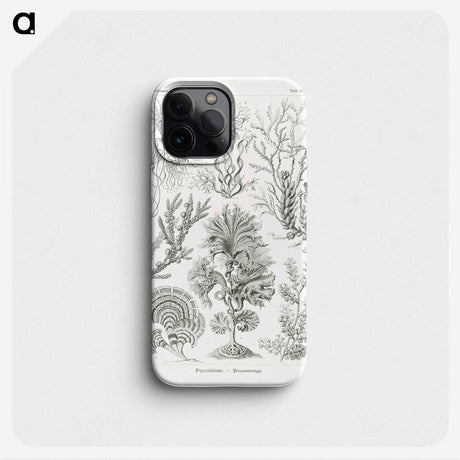 2-7_Ernst-Haeckel_phone