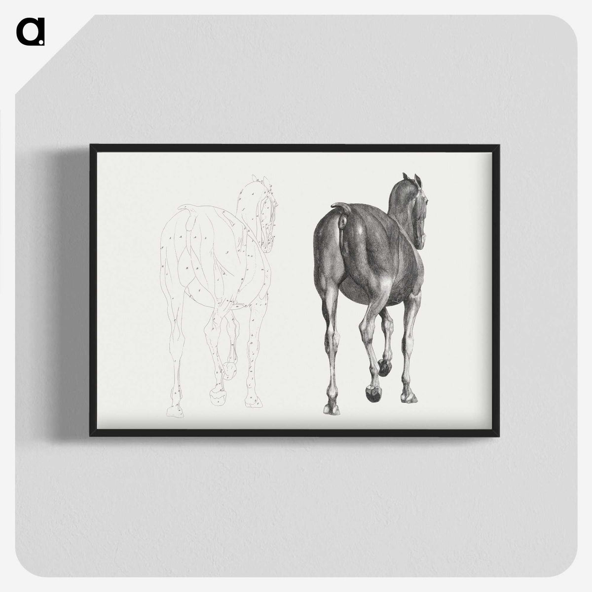 2-7_George-Stubbs_blk-crop