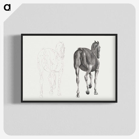 2-7_George-Stubbs_blk-crop