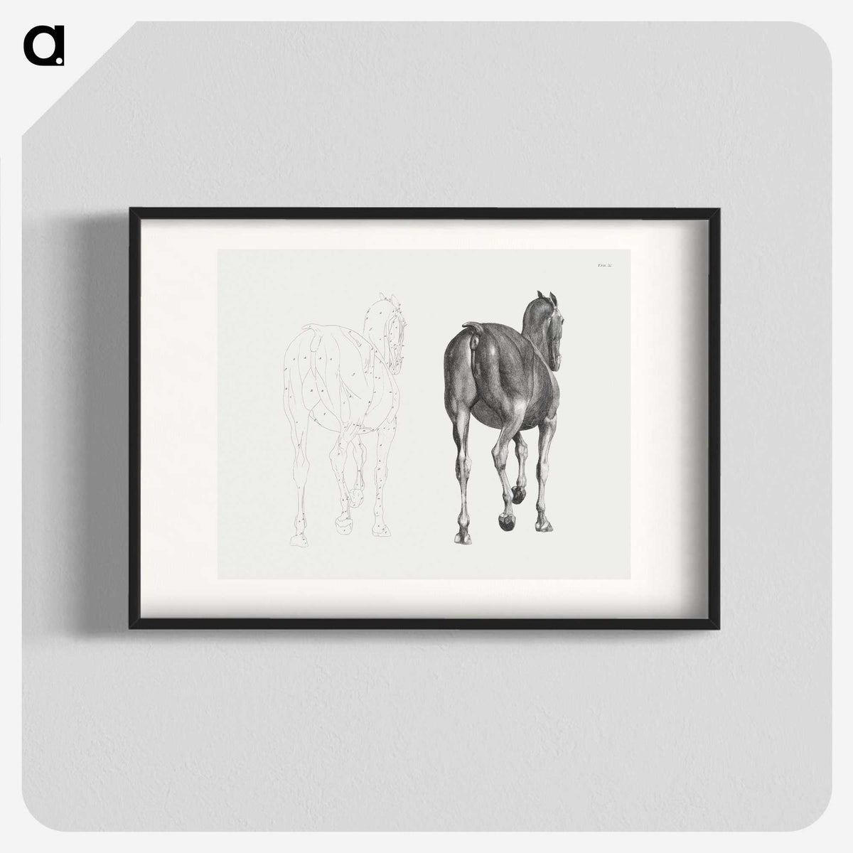 2-7_George-Stubbs_blk