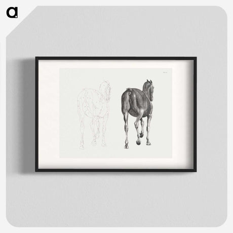 2-7_George-Stubbs_blk