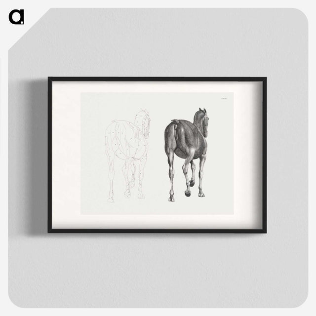 2-7_George-Stubbs_blk