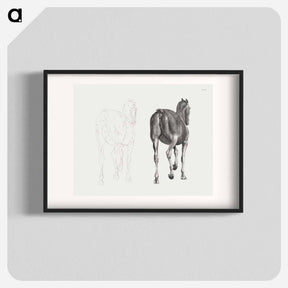 アートポスター-The Anatomy of the Horse
 - ジョージ スタッブス Poster.