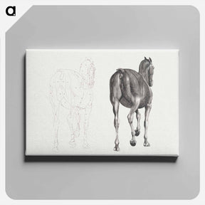 アートパネル-The Anatomy of the Horse
 - ジョージ スタッブス Canvas.